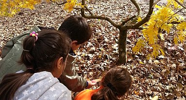 ÇEKÜL Bilgi Ağacı'na başvurular başladı
