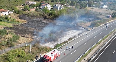 Düzce'de anız yangını! Fındık arazisi zarar gördü!