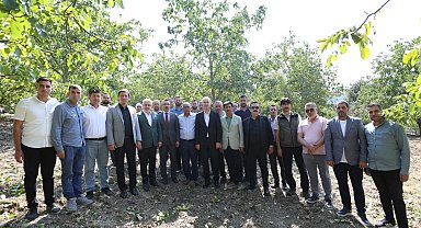 İnegöl'de hedef 42 bin ton ceviz