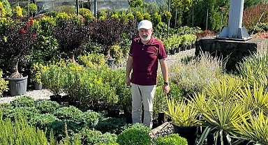 Kayseri Kocasinan daha yeşil olacak