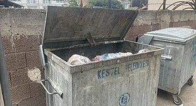 Kestel kötü kokular ile burun buruna