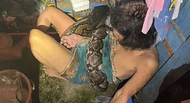 Mutfakta Piton Saldırısına Uğradı!