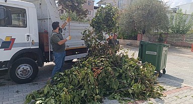Orhangazi Belediyesi’nden Çevreci ve Sosyal Proje: Dal Toplama Çalışmaları