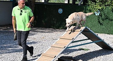 'Tanyel' çocukların can yoldaşı oldu