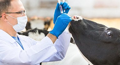 Tarım-GFE'de en yüksek değişim veteriner harcamalarında