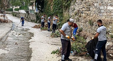 Temiz çevre için güç birliği