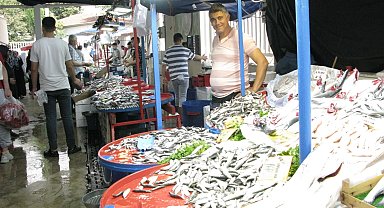 Yenişehir'de balıkçı tezgâhları şenlendi