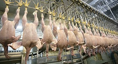 Beyaz Et Firmalarına Milyarlarca Lira Ceza