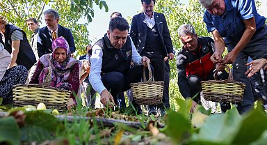 Bilecik ceviz üretiminde Türkiye 3'üncüsü