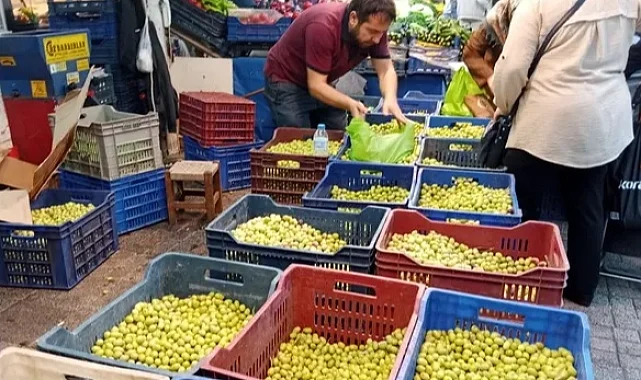 Bursa Tuz Pazarı'nda kurmalık zeytin satışı başladı