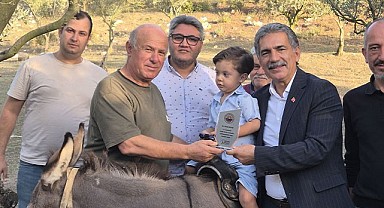 Festivalin en renkli ismine ziyaret