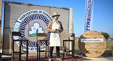 Harran Ovası'nda ikinci rejeneratif pamuk hasadı
