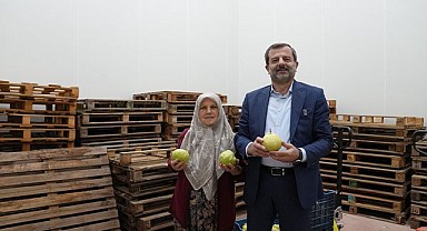 Hayriye Teyze Gürsu Armudu İle Girişimci Oldu