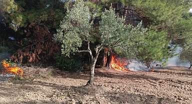 Mudanya Çağrışan'da tarım arazisinde çıkan yangın korkuttu