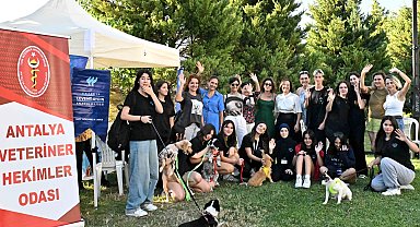 Muratpaşa'da patili dostlar yeni yuvalarına kavuştu