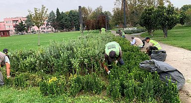 Sakarya'da şehrin dört bir yanına sonbahar dokunuşu