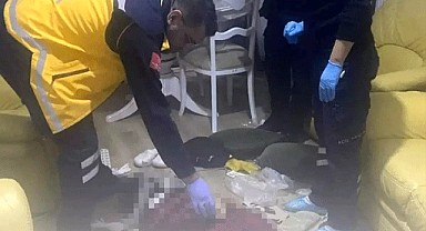 Yalova'da domuz bağı vahşeti