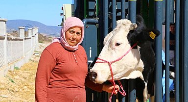 Antalyalı hayvan üreticisine belediyeden destek