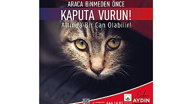 Araca binmeden önce kaputa vur