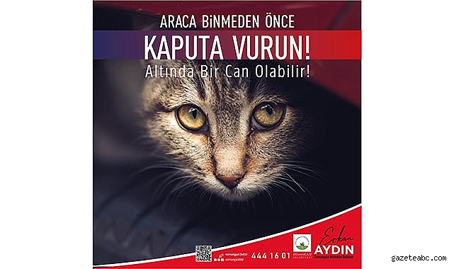Araca binmeden önce kaputa vur