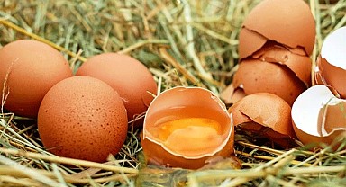 Aylık Enflasyon Fiyatlarından Yumurta 'da Nasibini Aldı