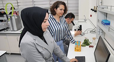 BTÜ'deDiyabet Hastalarına Özel Gıda Kaplaması Geliştirildi