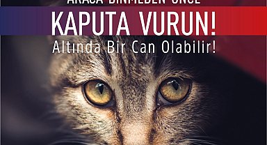 Bursa Osmangazi'den araç sürücülerine uyarı: Önce kaputa vurun!