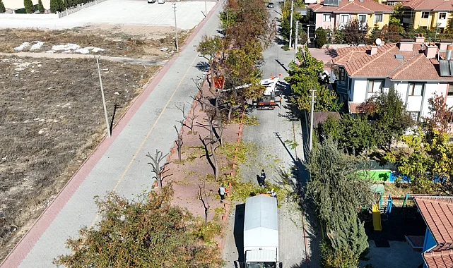 Konya Selçuklu'da ağaçlar budanıyor... Atıklar kompost gübreye dönüştürülüyor