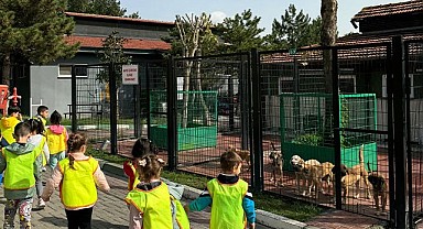Küçük hayvanseverlerden can dostlarına ziyaret