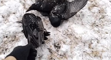 Bu görüntüler olay oldu!