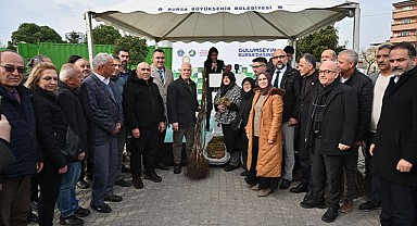 Bursa Büyükşehir’den üreticiye fide ve fidan desteği