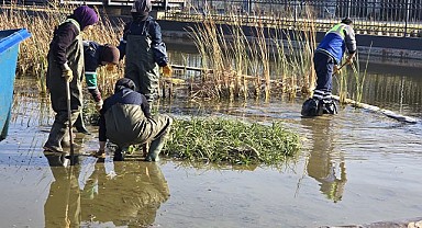 Büyükşehir’den Gökdere Millet Bahçesi’ne bilimsel dokunuş