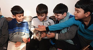 Öğrenciler bu kütüphanede hem kitap okuyor hem de kedileri seviyor