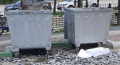 Şehir barbarı bozuk balıkları yola döktü