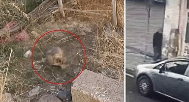 Sır perdesi kafatası ile aralandı