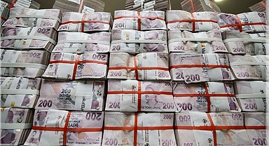 2025 Yılı Bütçe Performansı