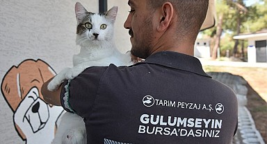 Büyükşehir’den can dostları için önemli proje