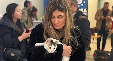 Sevimli can dostlar yeni yuvalarına kavuştu
