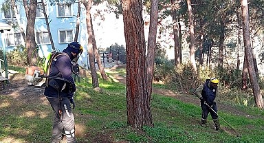 Gemlik'te Yeşil Seferberlik