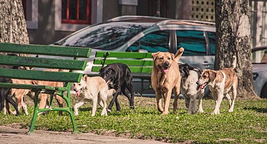 İstanbul Valiliği'nden 17 Mart'a kadar süre