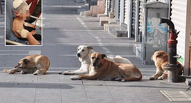 Küçük Çocuk Ölümden Döndü!