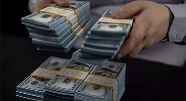 Merkez Bankası'ndan kritik hamle