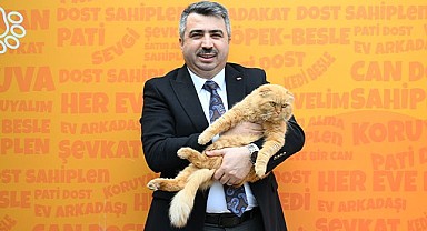 Yıldırım'da 625 Patili Dost Sıcak Yuvaya Kavuştu