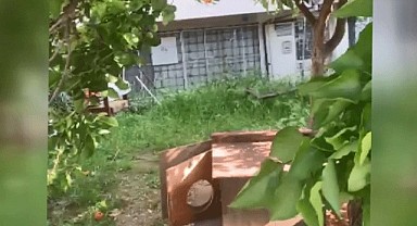 Bursa'da vahşet!