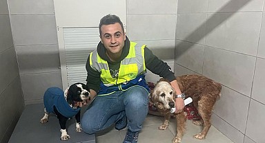 Büyükşehir, bayramda da can dostların yanında