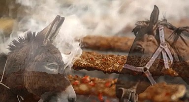Dana Diye Yediler At ve Eşek Çıktı