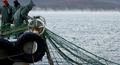 251 milyon liralık destek hesaplara yattı