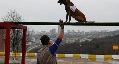 Afet köpeklerine detaylı yönetmelik... Köpekli Arama Timi Yönetmeliği yayımlandı