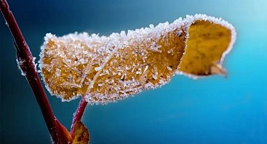 Ankara'dan 6 bin 500 üreticiye 'zirai don' desteği