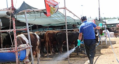 Antalya Büyükşehir kurban satış noktalarını ilaçlıyor